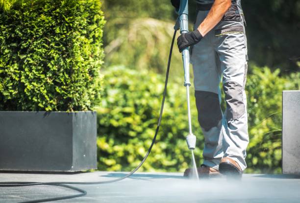 Solar Panel Cleaning in Lakeland, FL